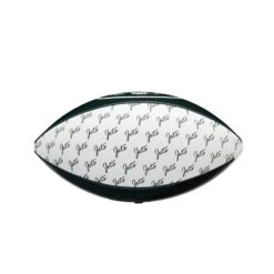 Wilson NFL Peewee Football Team Logo New York Jets -Rugbyausrüstung Geschäft wilson nfl peewee football team logo new york jets3